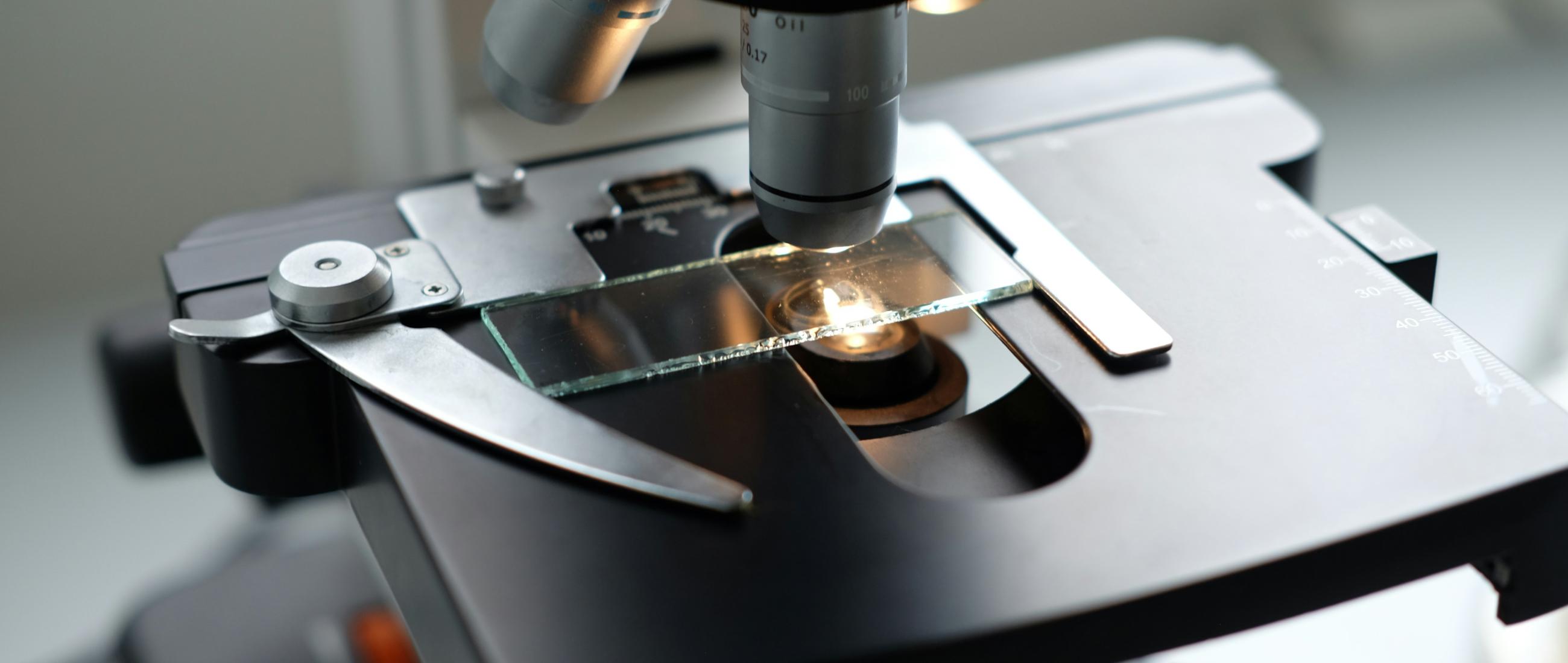 Microscope