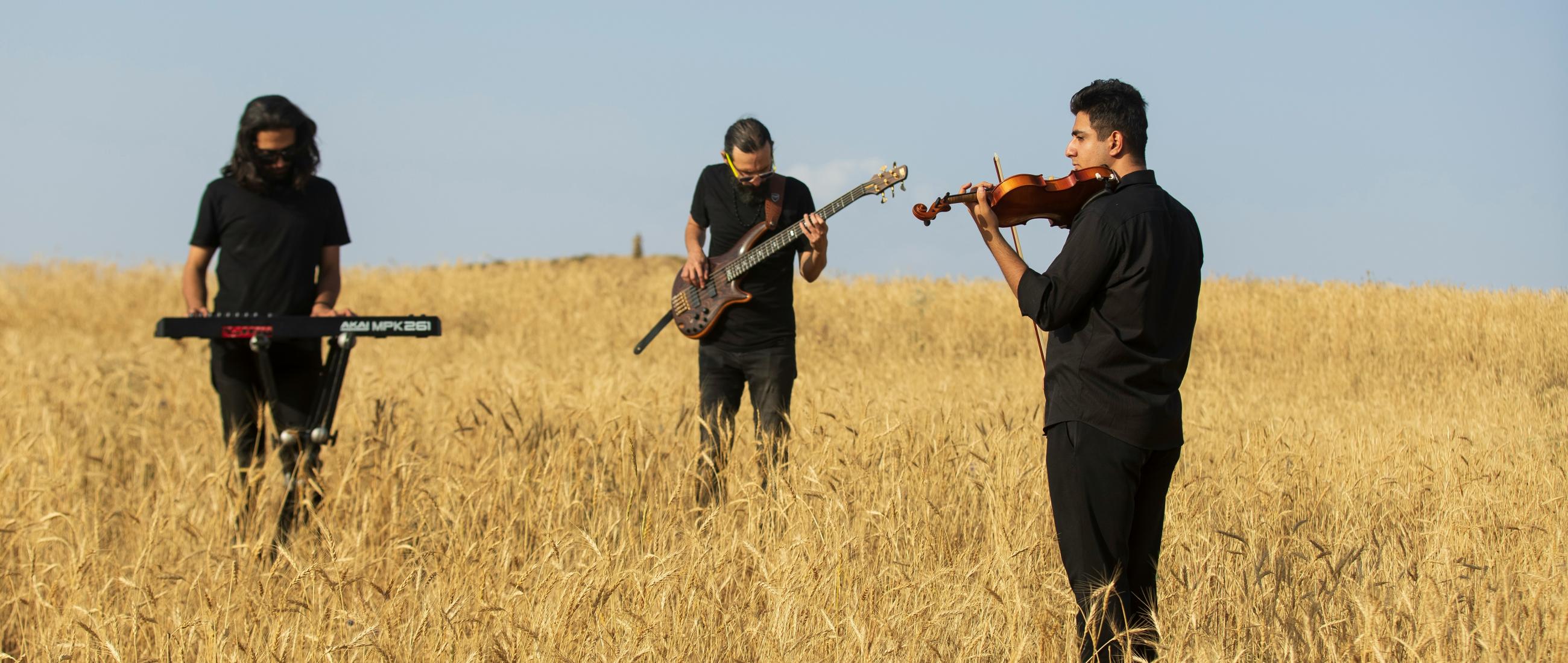 Three musicians playing instruments in a wheat field