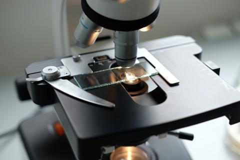 Microscope